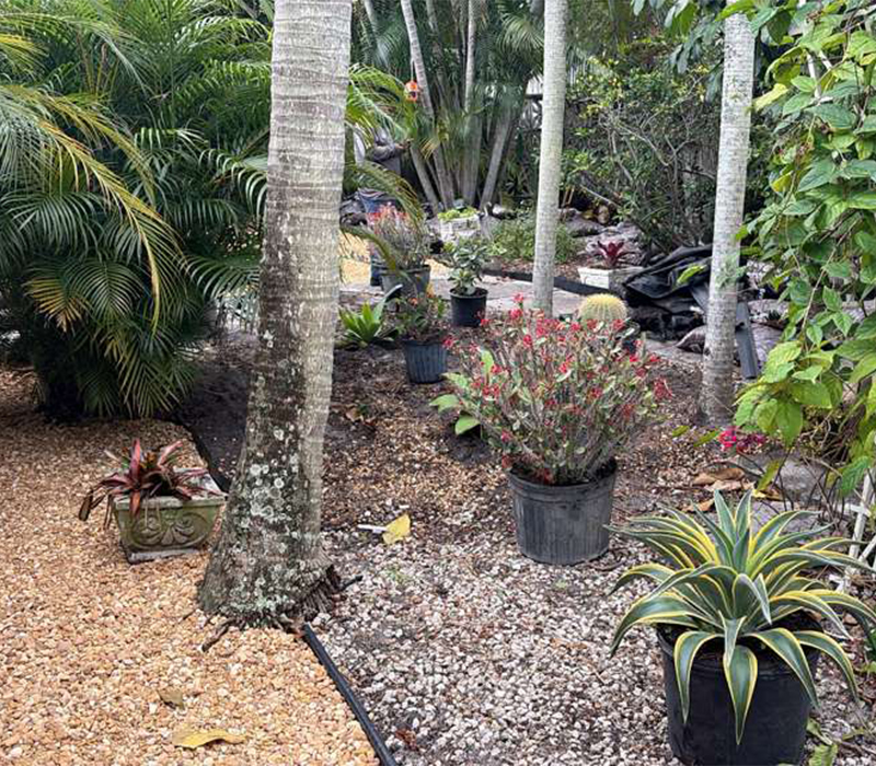 Towing services in Hesperia