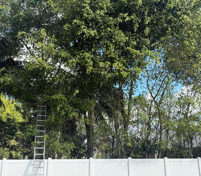 Towing services in Hesperia