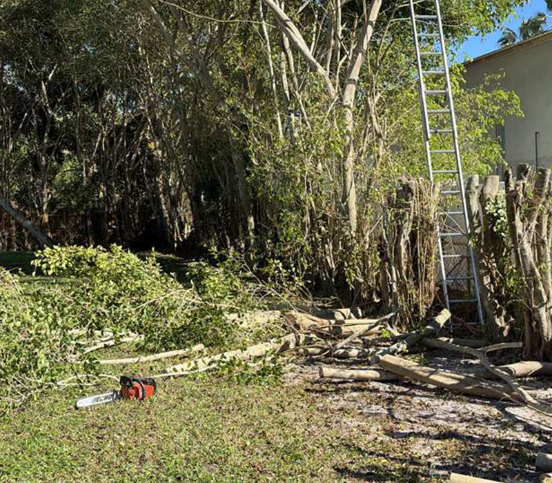 Towing services in Hesperia