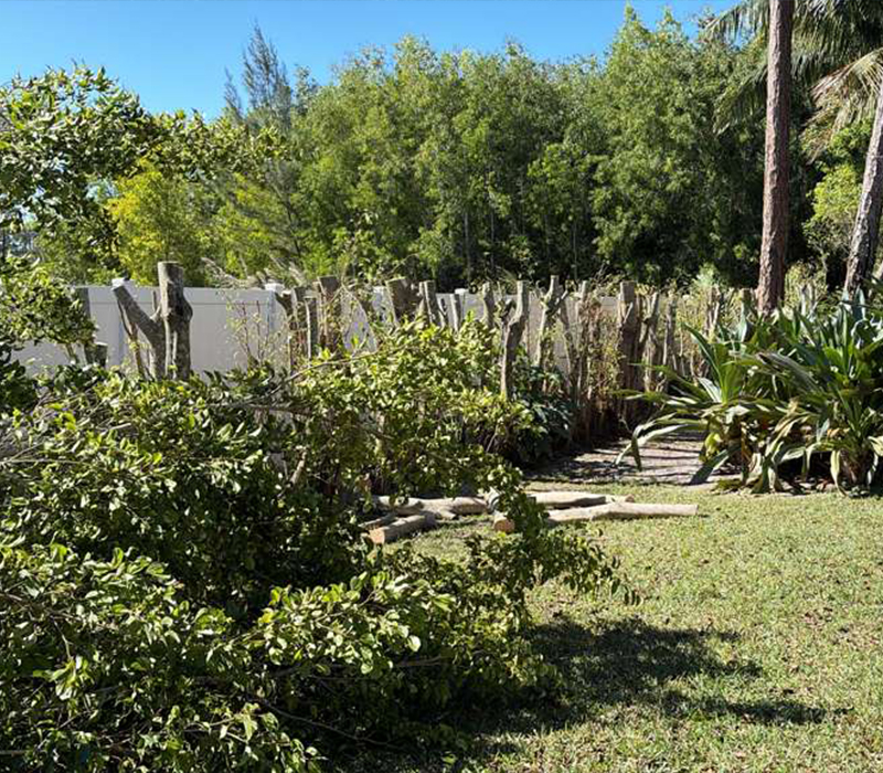 Towing services in Hesperia