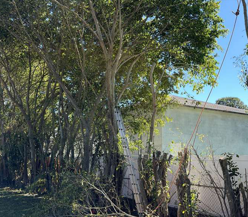 Towing services in Hesperia