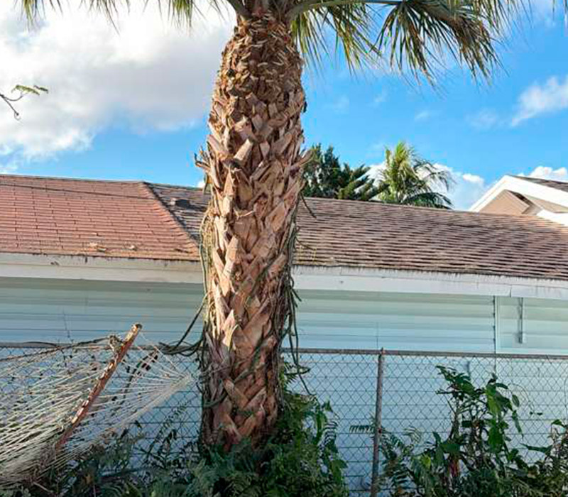 Towing services in Hesperia