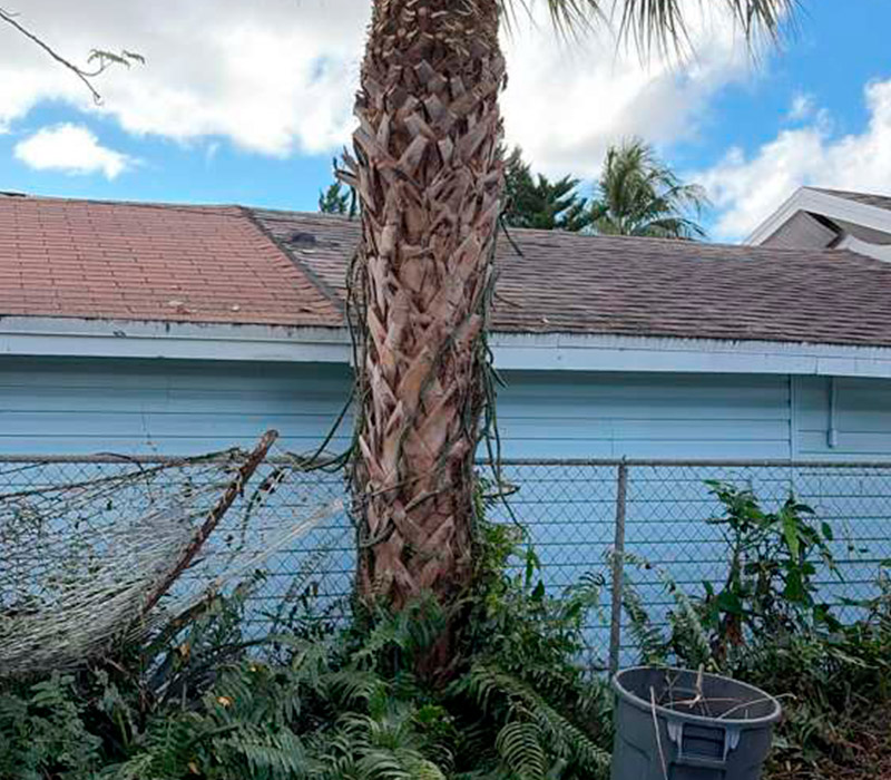 Towing services in Hesperia